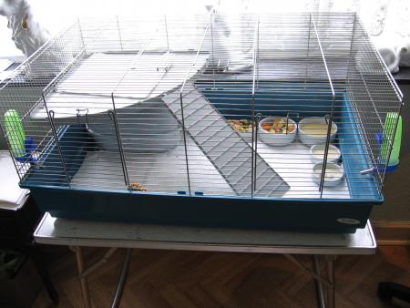 QUARANTAINE !!!!!!!!!! . POUR LES 8  ! .