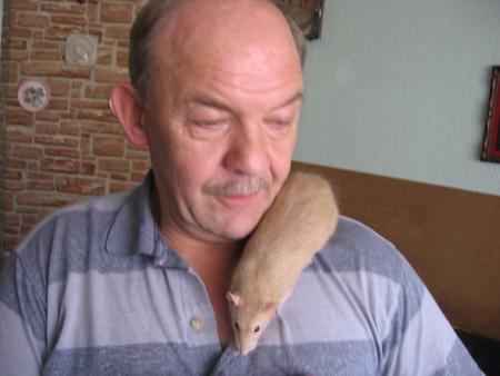 LA  JOURNEE  DE  PAPY  .