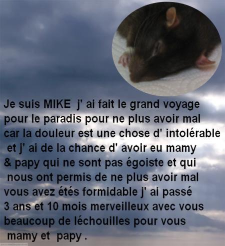 MIKE AU PARADIS .