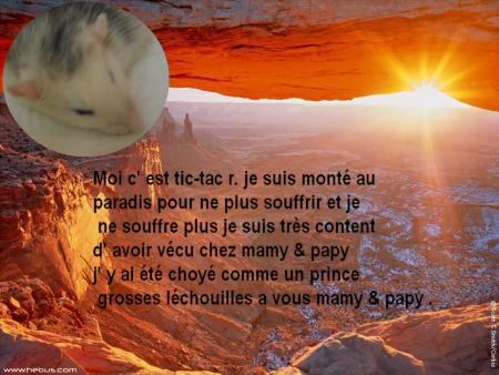 TIC - TAC R. AU PARADIS .