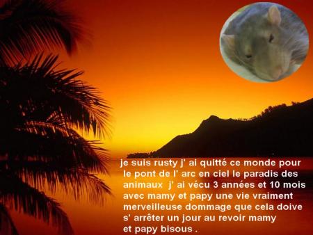 RUSTY  AU  PARADIS