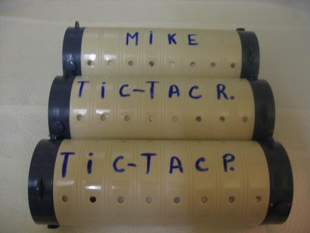 LEURS PETITS CERCEUILS ?  LES JOUETS .