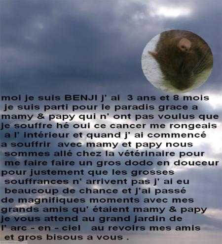 BENJI  AU  PARADIS
