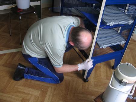 LE NETTOYAGE DE LA GRANDE MAISON  .