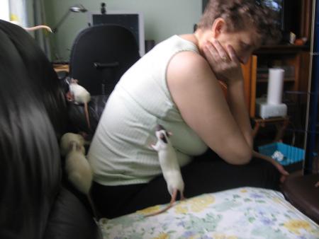 LA PROMENADE DES FEMELLES AVEC MAMY  .