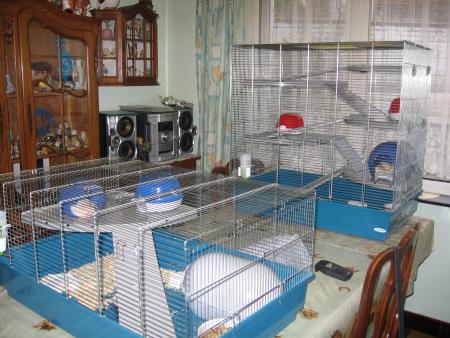 L ' HABITATION TRES IMPORTANT  3  .