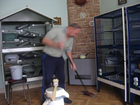 NETTOYAGE FINI  POUR LA MAISON DES FIFILLES  .