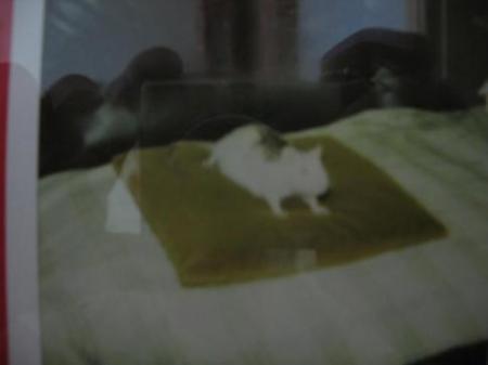 BIENVENUE CHEZ BIANCA    .