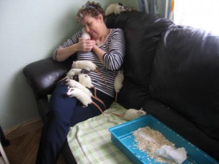 OUVERTURE DE LA MAISON    .