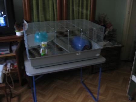 L ' HABITATION TRES IMPORTANT   2  .