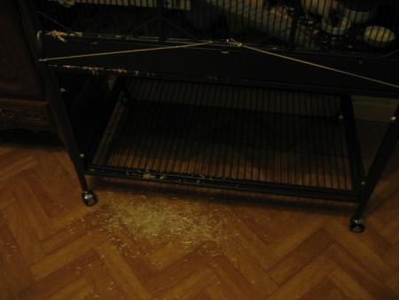 LE DESORDRE MATINAL  .