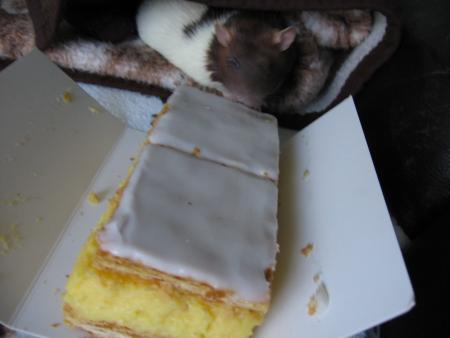 ZINA  PAS GOURMANDE DU TOUT !! .