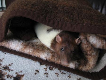 ZINA PREND DE L' �GE !!  .