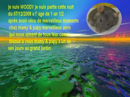 WOODY NOUS PARLE .