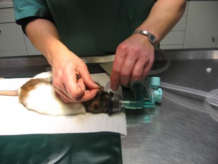 ON REPETTE L 'OPERATION PLUSIEURS FOIS .