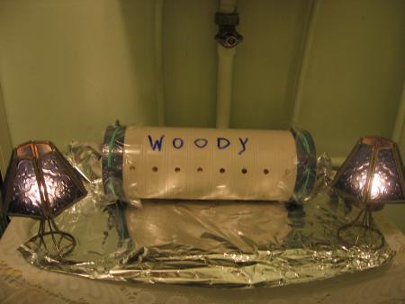 LA VEILLEE DE WOODY .